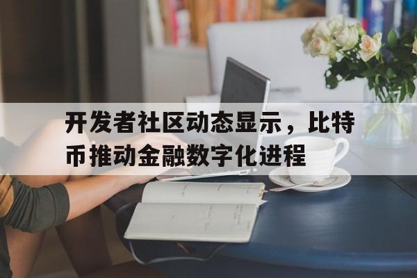 关于开发者社区动态显示，比特币推动金融数字化进程的信息